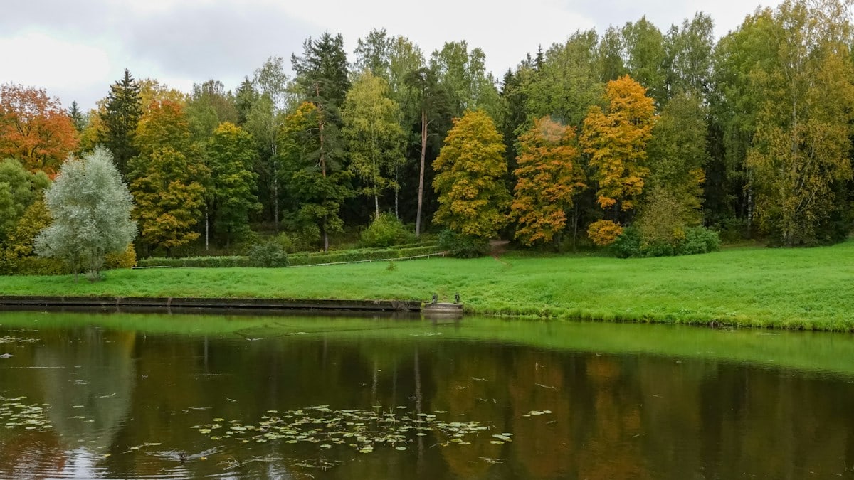 The pond in Pavlovsk Park, Saint Petersburg.